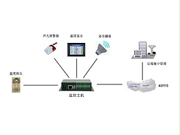 自动化人体红外测温监控系统厂家，现货供应、全国发货！