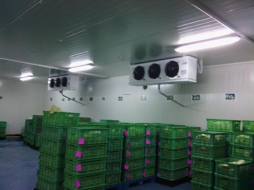 恒温果蔬冷库环境监测系统设计